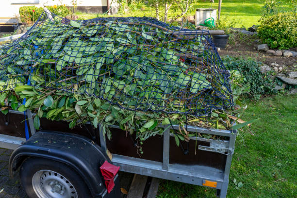 Best Commercial Junk Removal  in Dandridge, TN